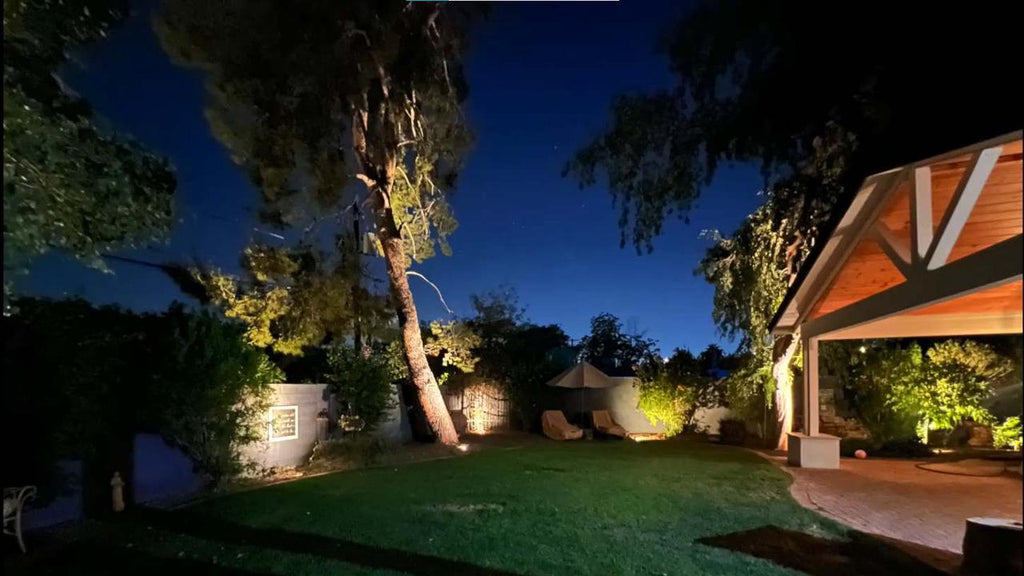 Creative Ways to Use In Ground Well Lights Around Trees, Driveways, and Pathways