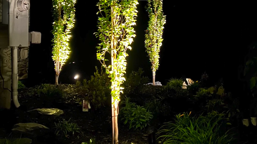 What Beam Angles Should You Use for Low Voltage Outdoor Spotlights?