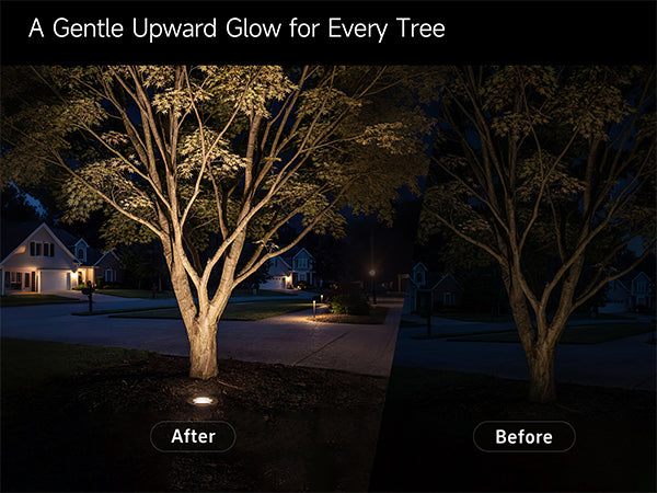 Gardenreet Low Voltage 12V LED In-ground Well Lights (Grated Top 9202) - Application Mobile 2