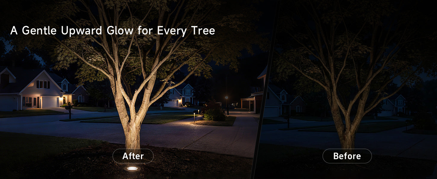 Gardenreet Low Voltage 12V LED In-ground Well Lights (Grated Top 9202) - Application Desktop 2