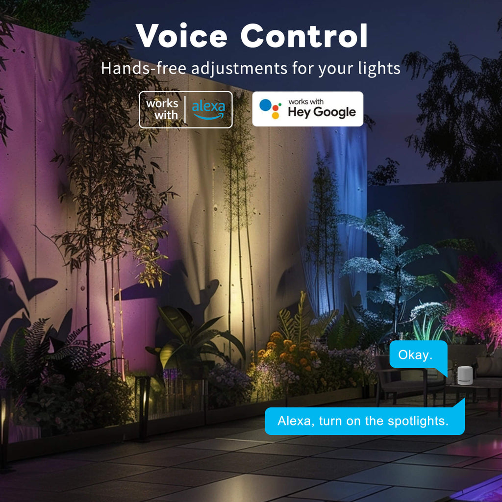 voice spotlight
