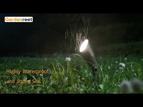brass mini spotlights
